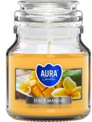 BISPOL Lumanare Parfumata in Pahar, Juicy Mango, 28 h, Bispol (LCA-SND71-475)
