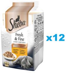 Sheba Fresh & Fine 72x50g nedves teljes értékű eledel felnőtt macskáknak csirkemártással, pulykával