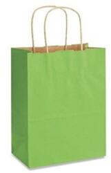Bisbags Pungi Natur Colorate Verde Deschis, 20 x 9 x 25 cm, 100 Bucati (BBG-PK625)