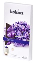 LCA Cipsuri din Parafina Parfumata - Lavanda - 6 Buc (LCA-TRU-CPS-77-TS)