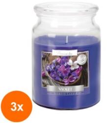LCA Set 3 x Lumanare Parfumata in Borcan cu Capac Violete, 100 Ore (GIL-3xLCA-SND99-131)