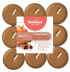Bolsius Lumanare Pastila Bolsius, Mar si Scortisoara, Timp de Ardere 4 Ore, 18 Bucati (LCA-TRU-PT18-95-TS)