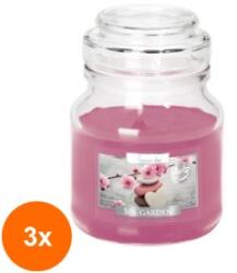 LCA Set 3 x Lumanare Parfumata in Pahar cu Capac, Gradina Spa, 28 Ore (GIL-3xLCA-SND71-254)