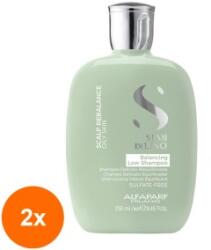 ALFAPARF Milano Set 2 x Sampon de Echilibrare Anti-sebum, Alfaparf Semi di Lino Scalp Rebalansing Balancing, 250 ml