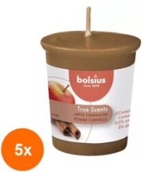 Bolsius Set 5 x Lumanare Parfumata Con, Bolsius, Mar si Scortisoara (GIL-5xLCA-TRU-LPCO-95-ASC-TS)