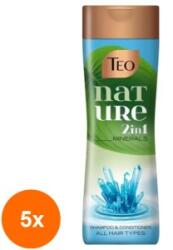 Teo Set 5 x Sampon Teo Nature, Aloe Vera, pentru Toate Tipurile de Par, 350 ml