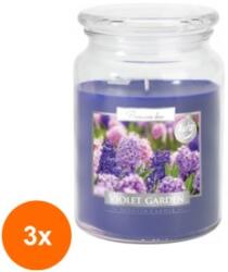 LCA Set 3 x Lumanare Parfumata in Borcan cu Capac, Gradina cu Violete, 100 Ore (GIL-3xLCA-SND99-343)
