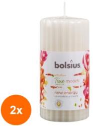 Bolsius Set 2 x Lumanare Stalp 120 x 58 mm Bolsius, Gref si Ghimbir (GIL-2xLCA-TRU-STP-120/58-84-TM)