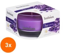Bolsius Set 3 x Lumanare Parfumata Bolsius True in Pahar Mic, Lavanda (GIL-3xLCA-TRU-LPS-50/80-77-TS)