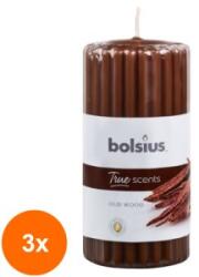 Bolsius Set 3 x Lumanare Stalp 120/58 mm Bolsius, Lemn de Oud (GIL-3xLCA-TRU-STP-120/58-70-TS)