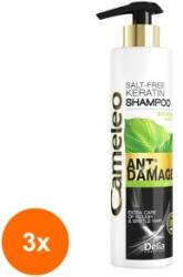 Cameleo Set 3 x Sampon de Par Cameleo Botanical cu Keratina, pentru Par Deteriorat, 250 ml