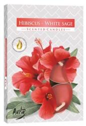 LCA Lumanari Pastila, Hibiscus / Salvie Alba, 6 Bucati (LCA-P15-356)