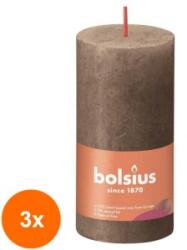 Bolsius Set 3 x Lumanare Stalp Bolsius, Maro, 100 x 50 mm (GIL-3xLCA-STR-100/50-70327)