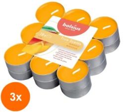 Bolsius Set 3 x 18 Lumanari Pastila Bolsius, Mango, Timp de Ardere 4 Ore (GIL-3xLCA-TRU-PT18-10-TS)