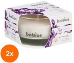 Bolsius Set 2 x Lumanare Parfumata Bolsius True, in Pahar Mediu, So Relaxed Lavanda si Musetel (GIL-2xLCA-TRU-LPM-63/90-76-TM)