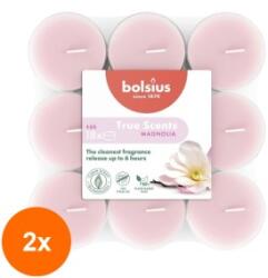 Bolsius Set 2 x 18 Lumanari Pastila in Pahar Bolsius, Magnolie, 6 Ore (GIL-2xLCA-TRU-PT6H-04)