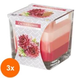 LCA Set 3 x Lumanare Parfumata in Pahar in Trei Culori, Floare de Cactus, 32 Ore (GIL-3xLCA-SNK80-312)