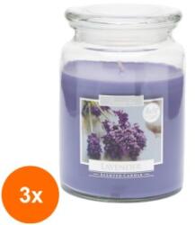 LCA Set 3 x Lumanare Parfumata in Borcan cu Capac Lavanda, 100 Ore (GIL-3xLCA-SND99-79)