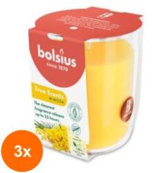 Bolsius Set 3 x Lumanare Parfumata in Pahar, Mimosa, Bolsius, 80 x 73 mm (GIL-3xLCA-TRU-LP-80-73-56)