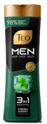 Teo Sampon Teo Men 3 in 1, Menta, 350 ml