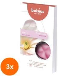 LCA Set 3 x 6 Cipsuri din Parafina Parfumata - Magnolie (GIL-3xLCA-TRU-CPS-04-TS)