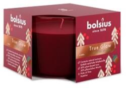 Bolsius Lumanare Parfumata in Pahar, Winter Spices, 24 Ore, Bolsius (LCA-TRU-LPM-63/90-CHR-99-TG)