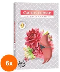 LCA Set 6 x 6 Lumanari Pastila, 4 Ore, Floare de Cactus (GIL-6xLCA-P15-312)