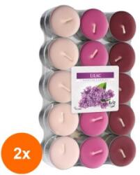 LCA Set 2 x 30 Lumanari Pastila, 4 Ore, Liliac (GIL-2xLCA-P30-38)
