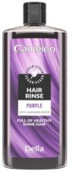 Cameleo Solutie de Colorare Par in Nuante de Violet, Delia Cameleo, 200 ml