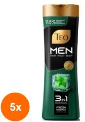 Teo Set 5 x Sampon Teo Men 3 in 1, Menta, 350 ml