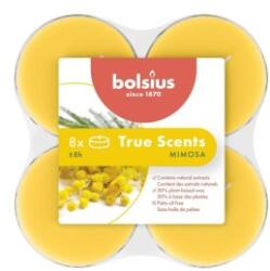 Bolsius Lumanari Pastila, 8 Ore, Mimosa, Bolsius, 8 Bucati (LCA-TRU-PT40-56-TS)