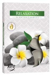 LCA Lumanari Pastila, pentru Relaxare, 4 Ore, 6 Bucati (LCA-P15-333)
