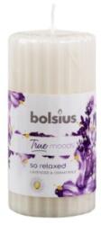 Bolsius Lumanare Stalp 120 x 58 mm Bolsius, Lavanda si Musetel (LCA-TRU-STP-120/58-76-TM)