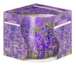 LCA Lumanare Parfumata in Pahar Imprimat, Lavanda, 22 Ore (LCA-SN71S-09)