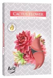 LCA Lumanari Pastila, 4 Ore, Floare de Cactus, 6 Bucati (LCA-P15-312)