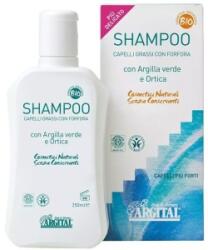 Argital Sampon Antimatreata pentru Par Gras, 250 ml