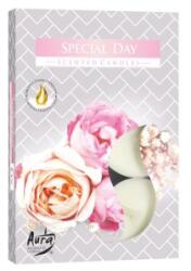 LCA Lumanari Pastila, 4 Ore, Special Day, 6 Bucati (LCA-P15-288)
