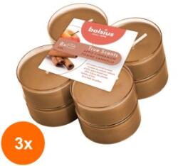 Bolsius Set 3 x 8 Lumanari Pastila 8h, Bolsius - Mar si Scortisoara (GIL-3xLCA-TRU-PT40-95-TS)