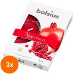 Bolsius Set 3 x 6 Lumanari Pastila 4h Bolsius - Rodie (GIL-3xLCA-TRU-PB15-15-ROD-TS)