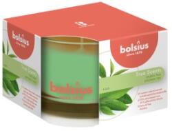 Bolsius Lumanare Parfumata Bolsius True in Pahar Mediu, Green Tea (LCA-TRU-LPM-63/90-43-TS)