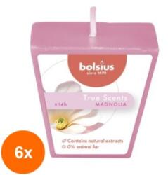 LCA Set 6 x Lumanare Parfumata Piramida, Magnolie, 14 Ore (GIL-6xLCA-TRU-LPPI-04-MAG-TS)