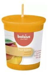 Bolsius Lumanare Parfumata Con, Bolsius, Mango (LCA-TRU-LPCO-10-MAN-TS)