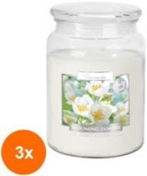 LCA Set 3 x Lumanare Parfumata in Borcan cu Capac Iasomie Blooming Jasmine, 100 Ore (GIL-3xLCA-SND99-169)