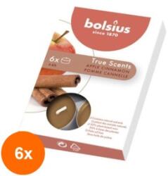 Bolsius Set 6 x 6 Lumanare Pastila, Mar si Scortisoara (GIL-6xLCA-TRU-PB15-95-MSC-TS)