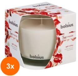 Bolsius Set 3 x Lumanare Parfumata Bolsius, in Pahar, True Get Cosy Mar Copt si Scortisoara (GIL-3xLCA-TRU-LPB-95/95-97-TM)