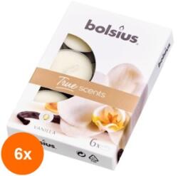 Bolsius Set 6 x 6 Lumanari Pastila 4h Bolsius, Vanilie (GIL-6xLCA-TRU-PB15-75-VAN-TS)
