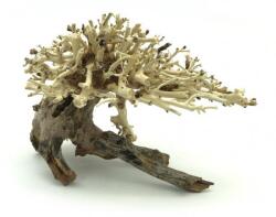 INVITAL Bonsai Driftwood 20 x 15 x 16 cm Nr. 10 (INZ06755)