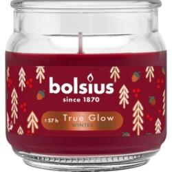 Bolsius Lumanare Parfumata in Pahar Mare, Winter Spices, Rosie, Bolsius (LCA-LP-CHR-100/98-99-WIN-R)