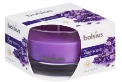 Bolsius Lumanare Parfumata Bolsius True Scents, in Pahar Mic, Lavanda (LCA-TRU-LPS-50/80-77-TS)