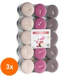 LCA Set 3 x 30 Lumanari Pastila, 4 Ore, Gradina SPA (GIL-3xLCA-P30-254)